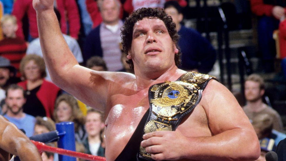 21 Most Bizarre WWE World Title Reigns Ever