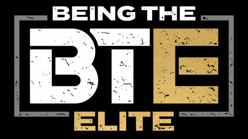 Future Of Being The Elite Revealed