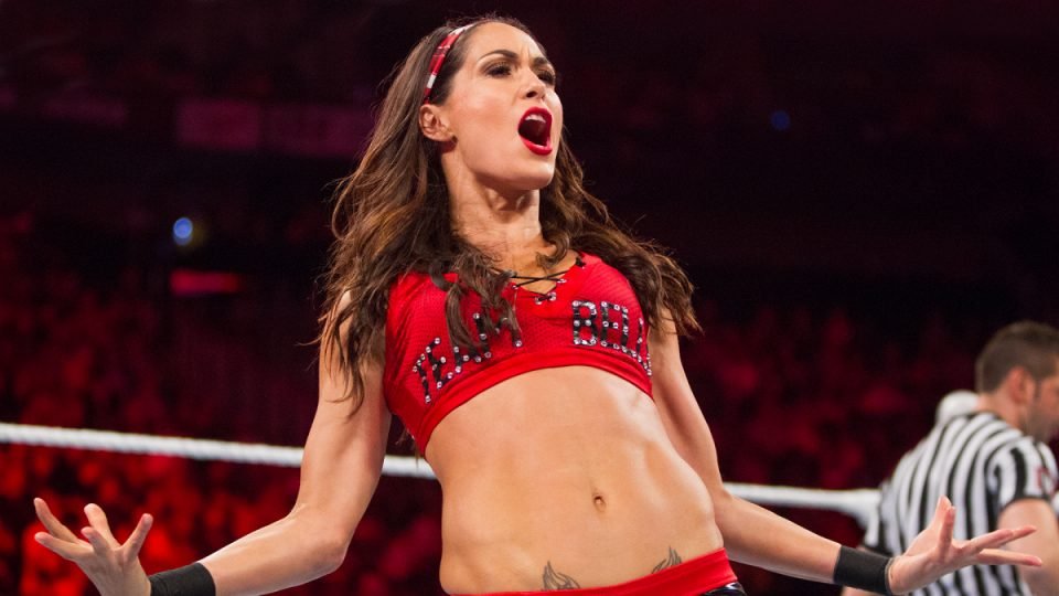 Brie Bella To Star In New Fox Reality Dance Competition