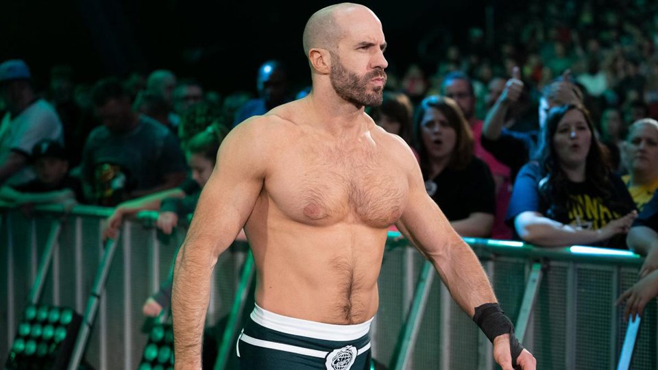WWE Plans For Cesaro Revealed