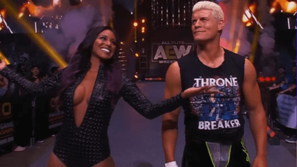 More Information On Cody And Brandi Rhodes Reality Show