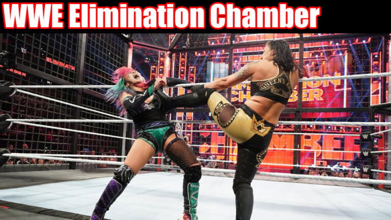 WWE Elimination Chamber 2020 Highlights