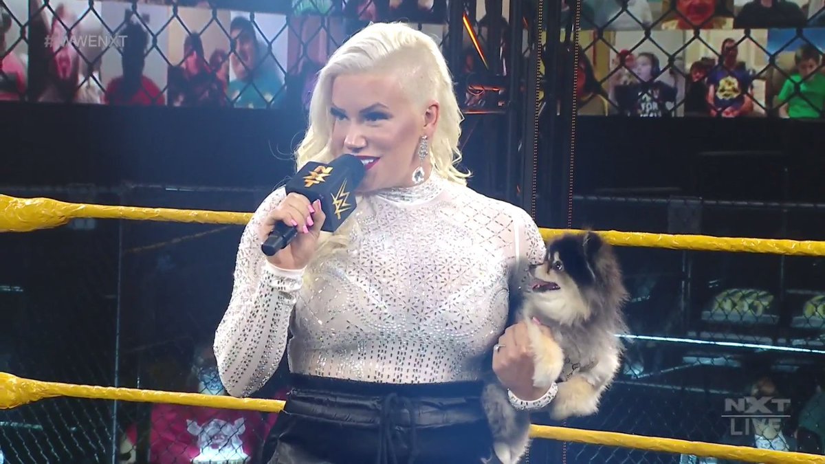 Taya Valkyrie Defends Her NXT Name Change