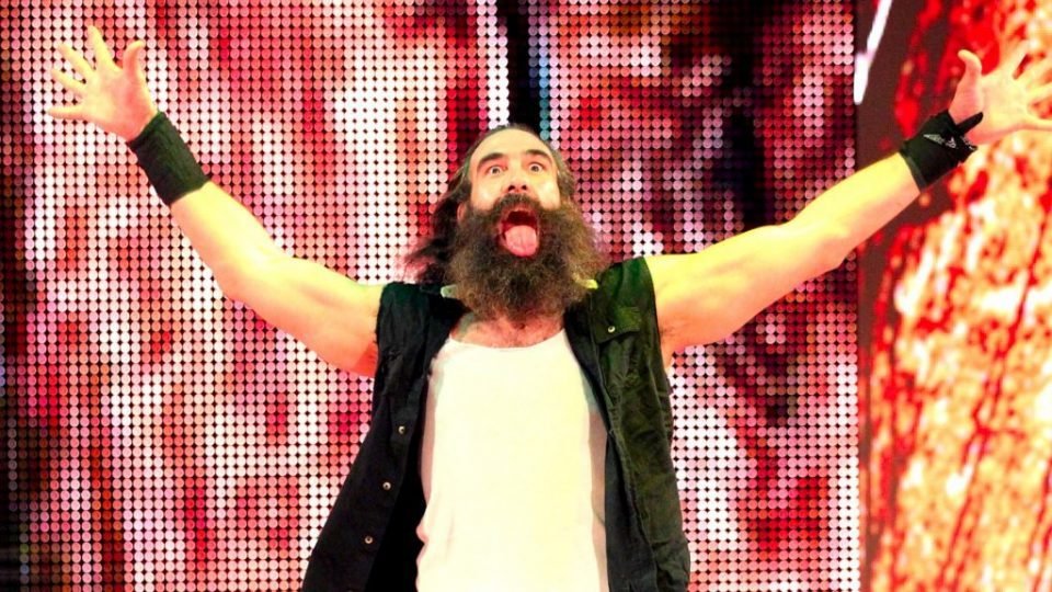 WWE Currently Has No Plans To Ever Use Luke Harper On TV Again