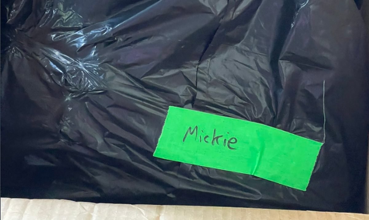 Mickie James Releases Statement Addressing Garbage Bag Incident