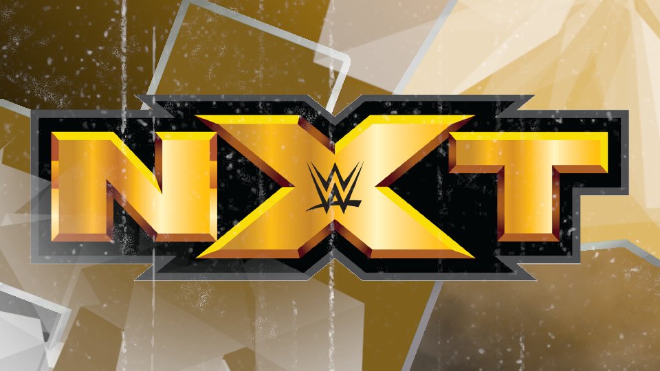 NXT Star Announces Engagement
