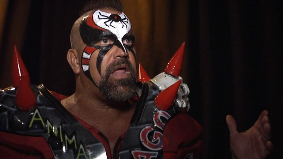 WWE Hall of Famer Road Warrior Animal Criticizes Raw’s Tag Team Division