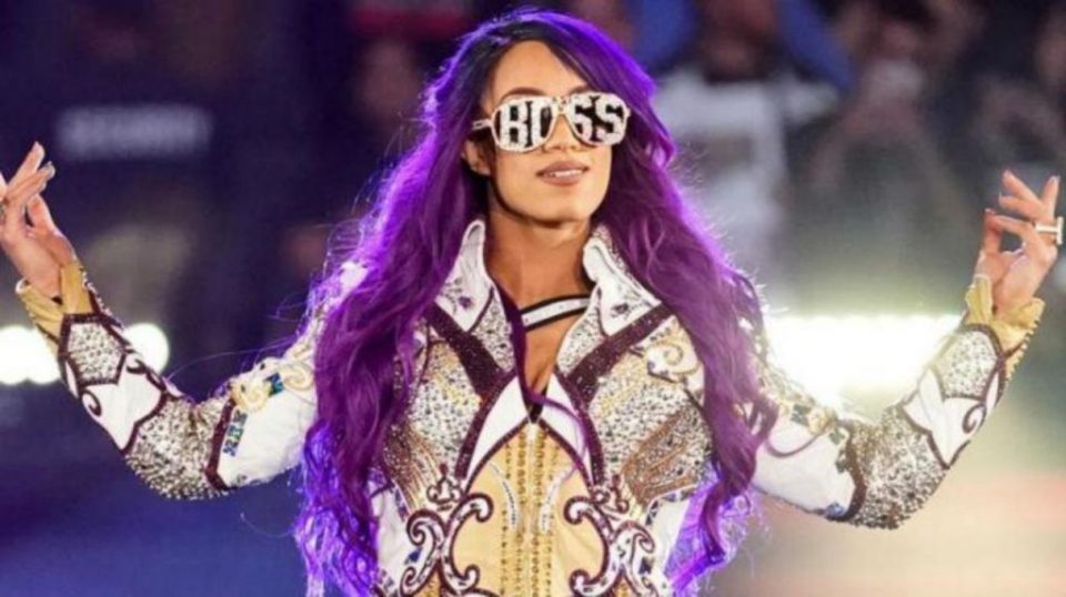 Sasha Banks Trolls Seth Rollins On Twitter