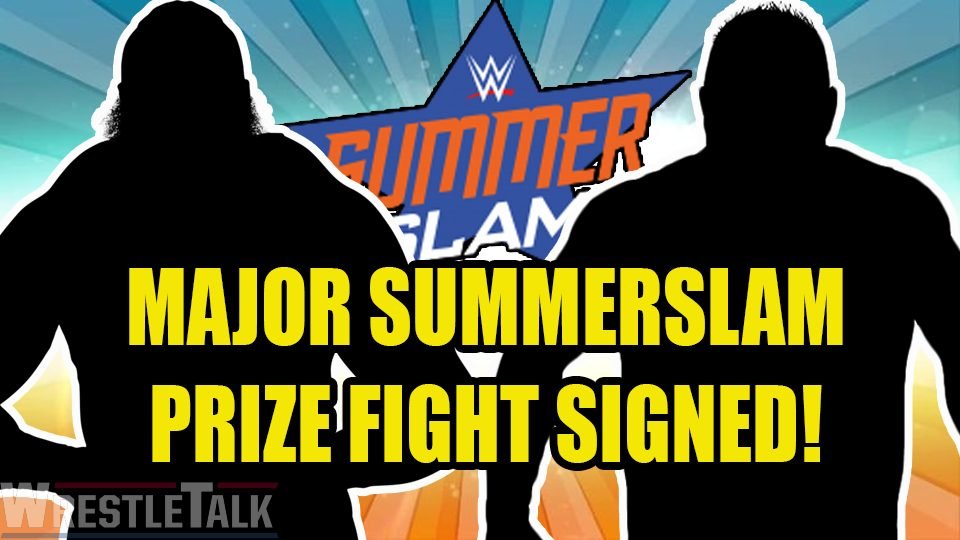 The Ultimate WWE SummerSlam Prizefight!