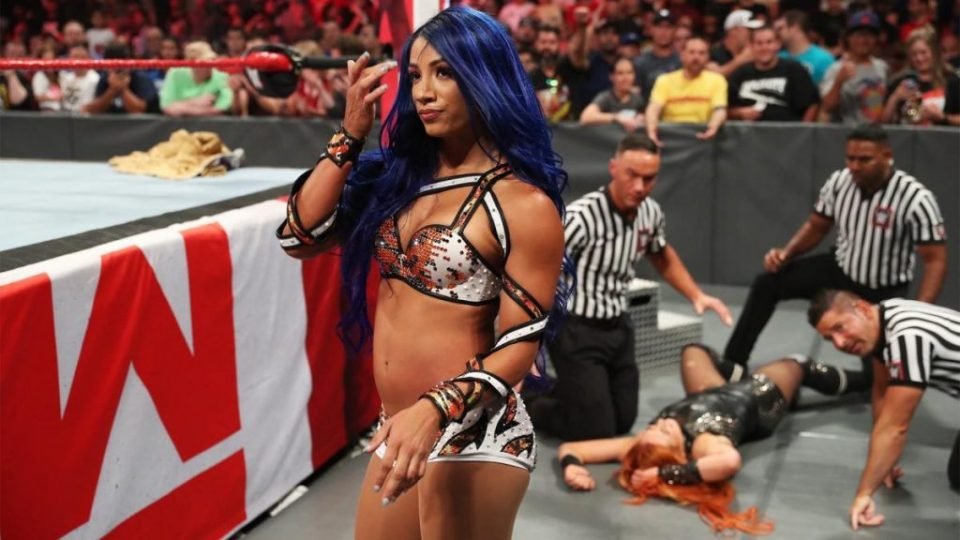 Fan Attempts To Grope Sasha Banks At Clash Of Champions