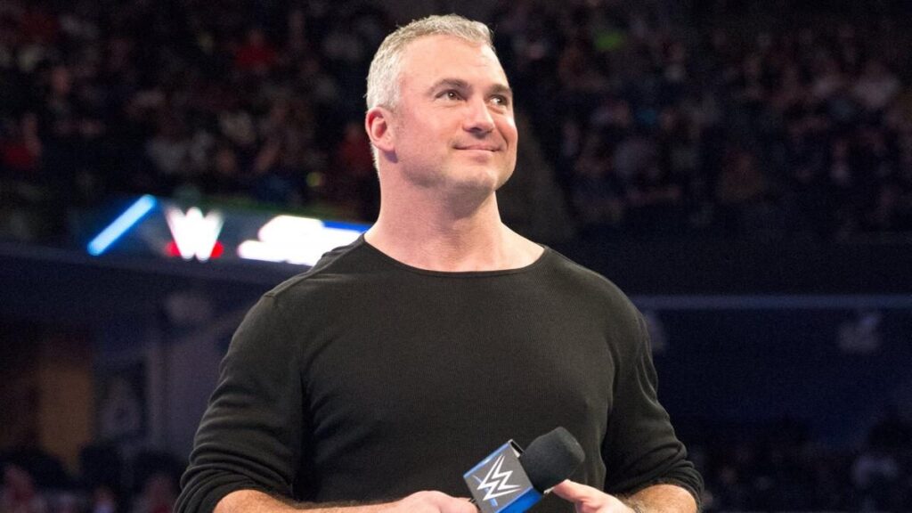 Shane McMahon in WWE