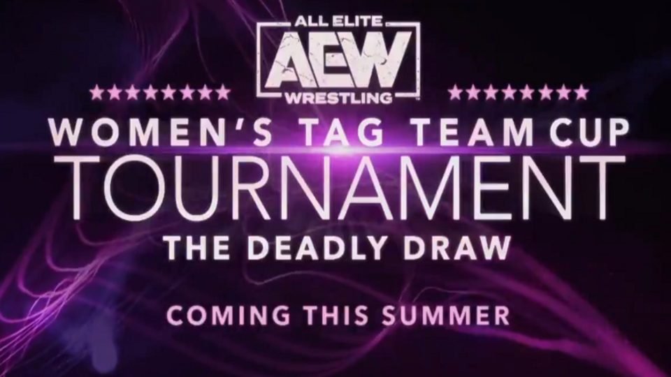 4 Teams For AEW Women’s Tag Tournament Revealed