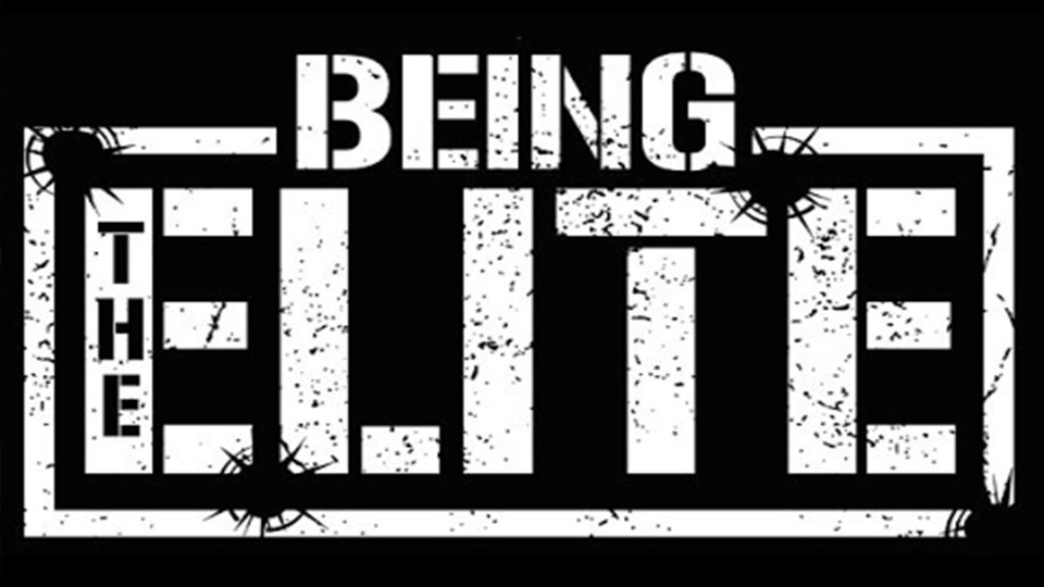 Former WWE Star Appears On Being The Elite