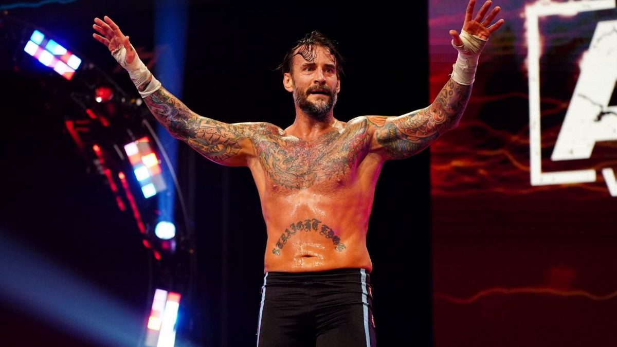 TNT & TBS Want AEW To Build Around CM Punk