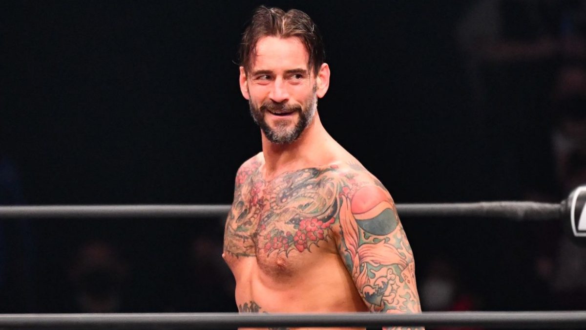 Former WWE Star Recalls Having CM Punk As Mentor