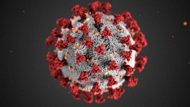 Report: Some People In WWE Don’t Want COVID-19 Vaccine