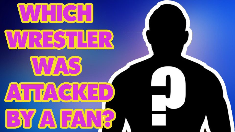 Wrestler Attacked By A Fan!