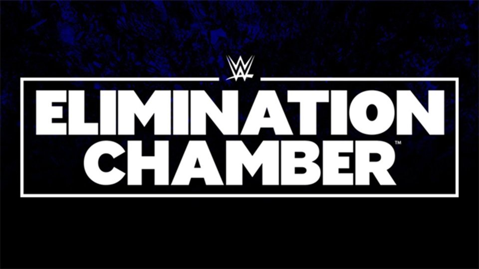 New Champion Crowned At WWE Elimination Chamber