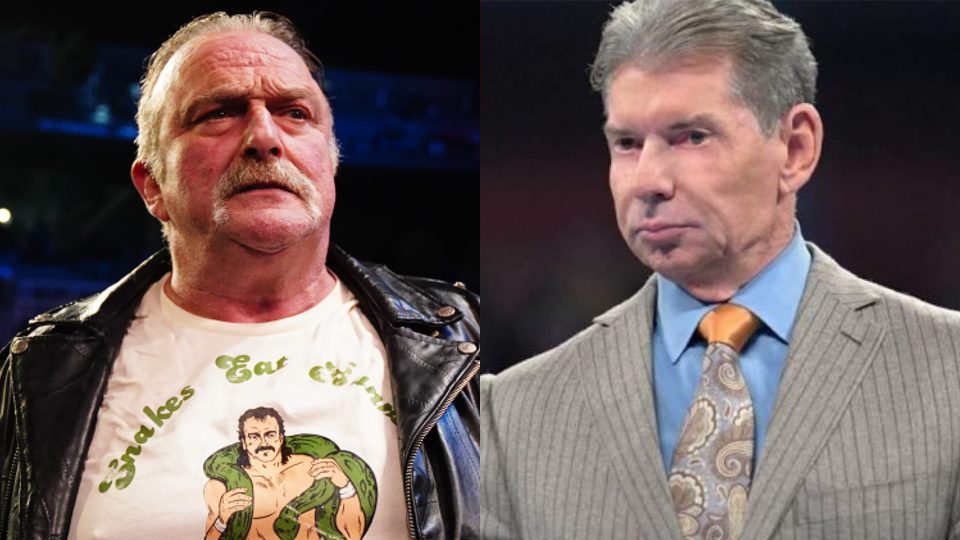 Jake Roberts Blasts Vince McMahon For Addiction Storyline