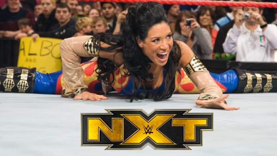 Melina Said To Have Been Planned For NXT Run