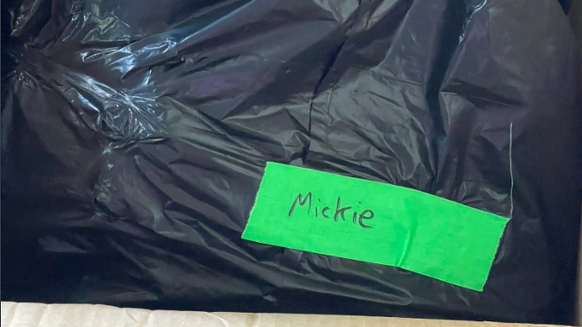 WWE Producer Calls Mickie James Trash Bag Incident ‘Difficult For Both Sides’
