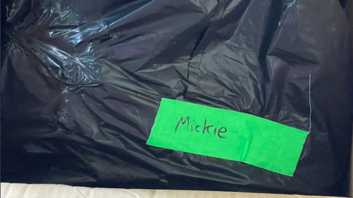 WWE References Mickie James Trash Bag Incident On SmackDown