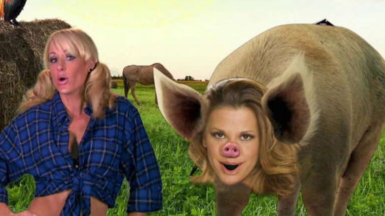 Michelle McCool and Mickie James WWE Piggy James graphic