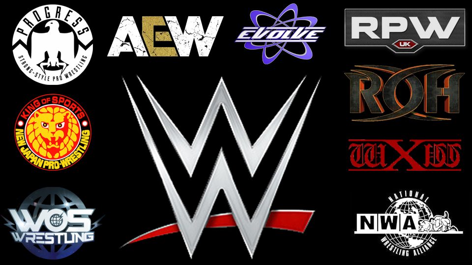 Wrestling companies sales