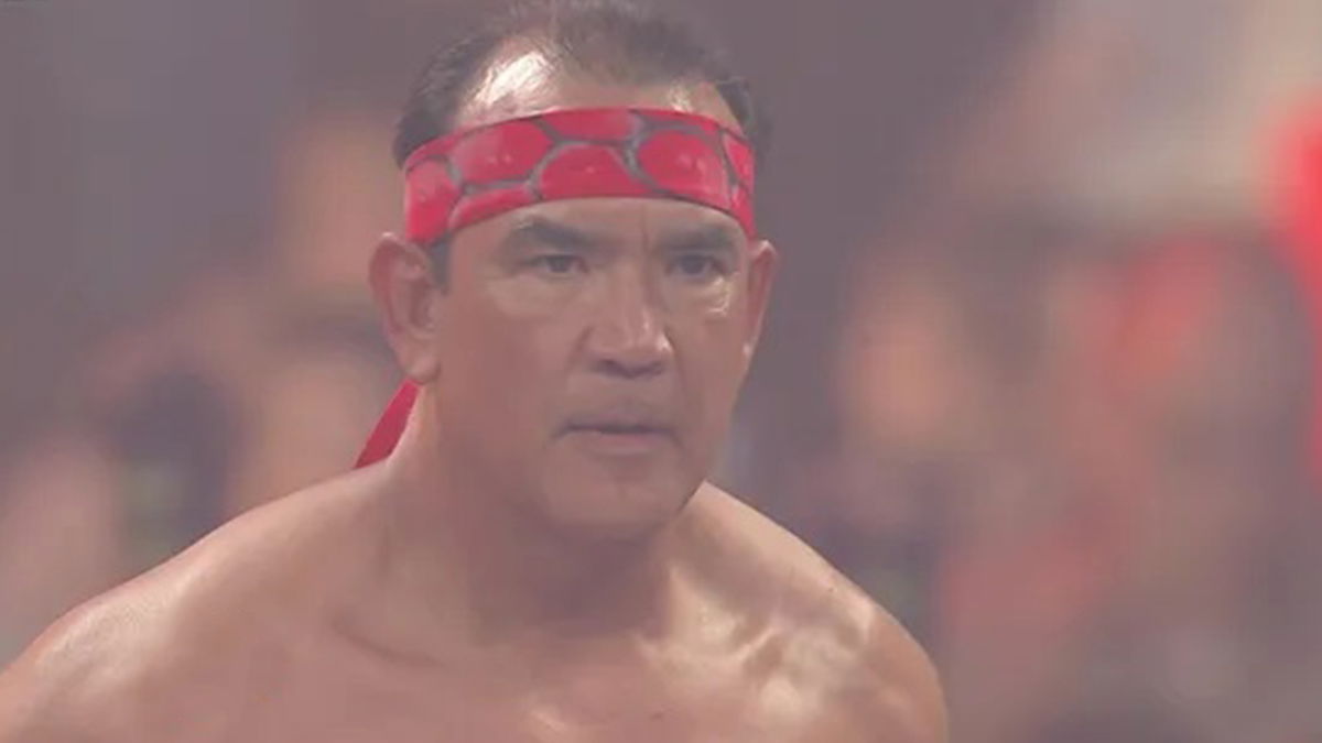 Ricky Steamboat Titles