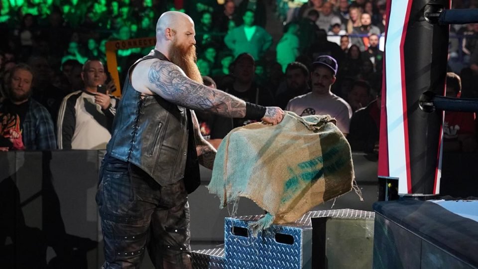 5 Things That Could Be In Erick Rowan’s Cage