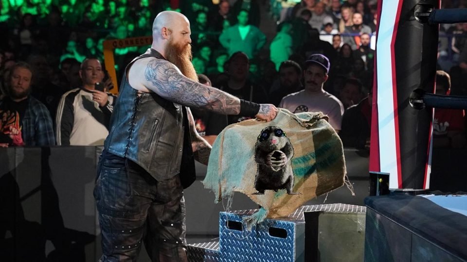 Erick Rowan Reveals What Was Really In His Cage