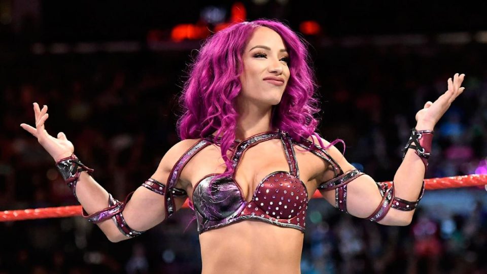 Sasha Banks Reveals Why She Went To Japan Last Week