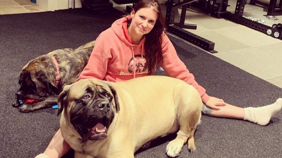 Former Star Reveals Why WWE Banned Pets Backstage