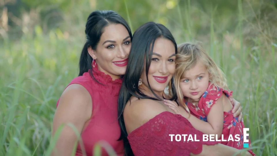 WWE Stars Nikki & Brie Bella Set to Tag-Team New Reality Show