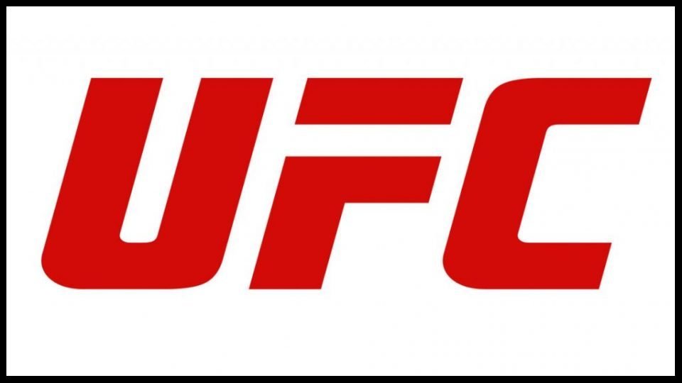 Huge UFC Star Confirms Talks With WWE