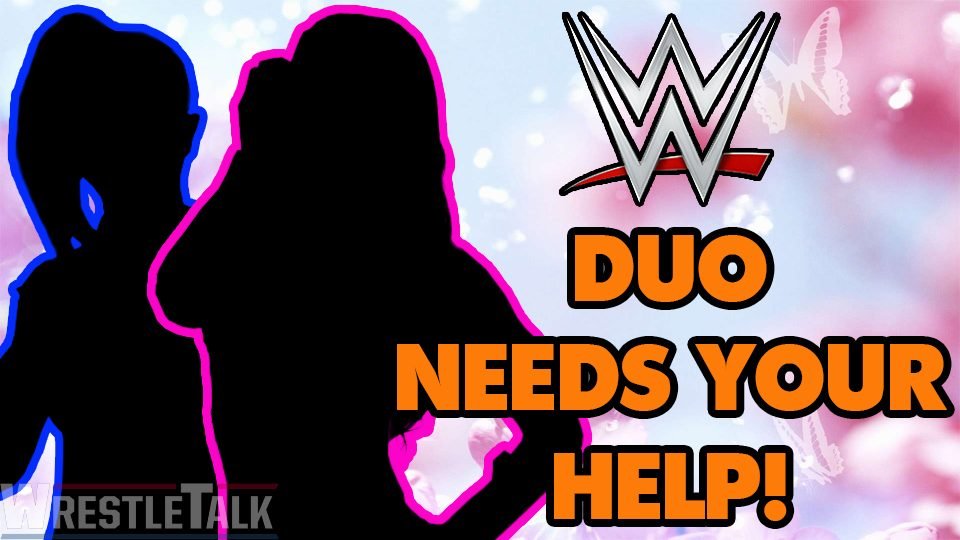 WWE Tag Team Put Their Future In Your Hands!