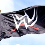 WWE Flag Logo