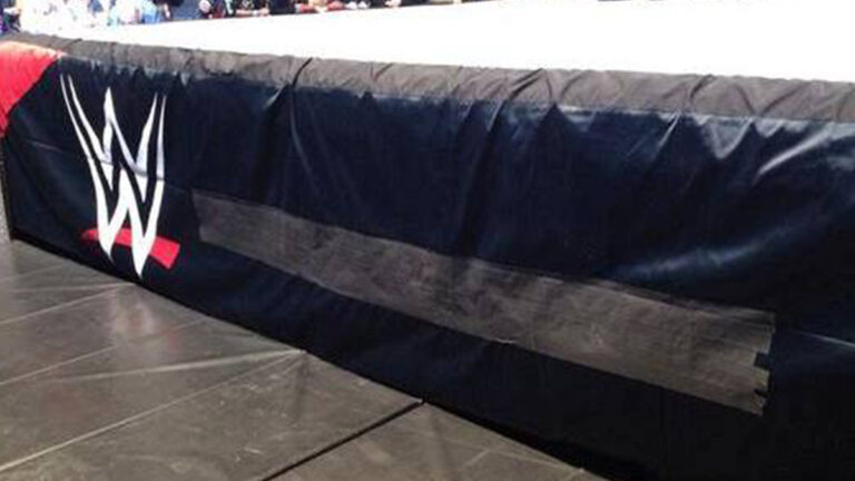 WWE Star Okay If Entire Match Took Place On The Apron