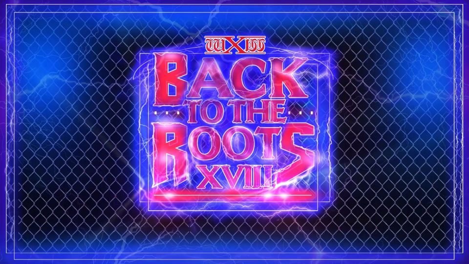 wXw Back To The Roots XVIII (Review)