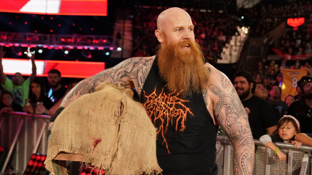 Original Plan For Erick Rowan Cage WWE Story Revealed