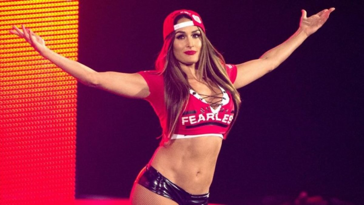 WWE Star Wants Tag Team With Nikki Bella