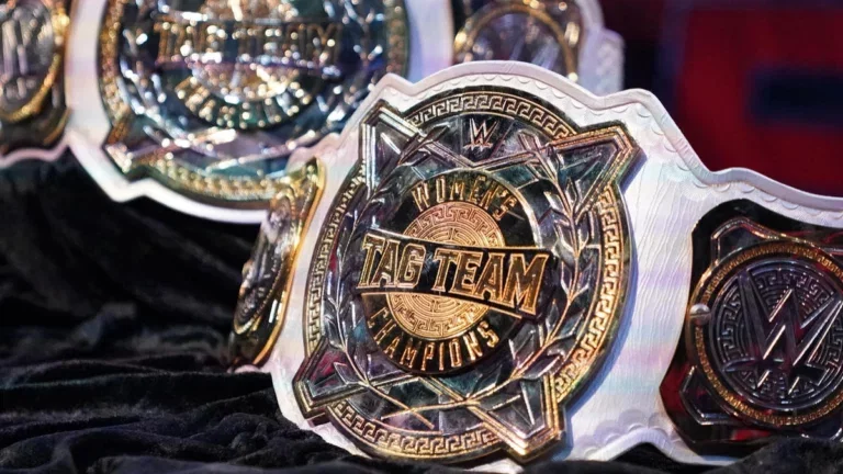 WWE Women's Tag Team Champions hip