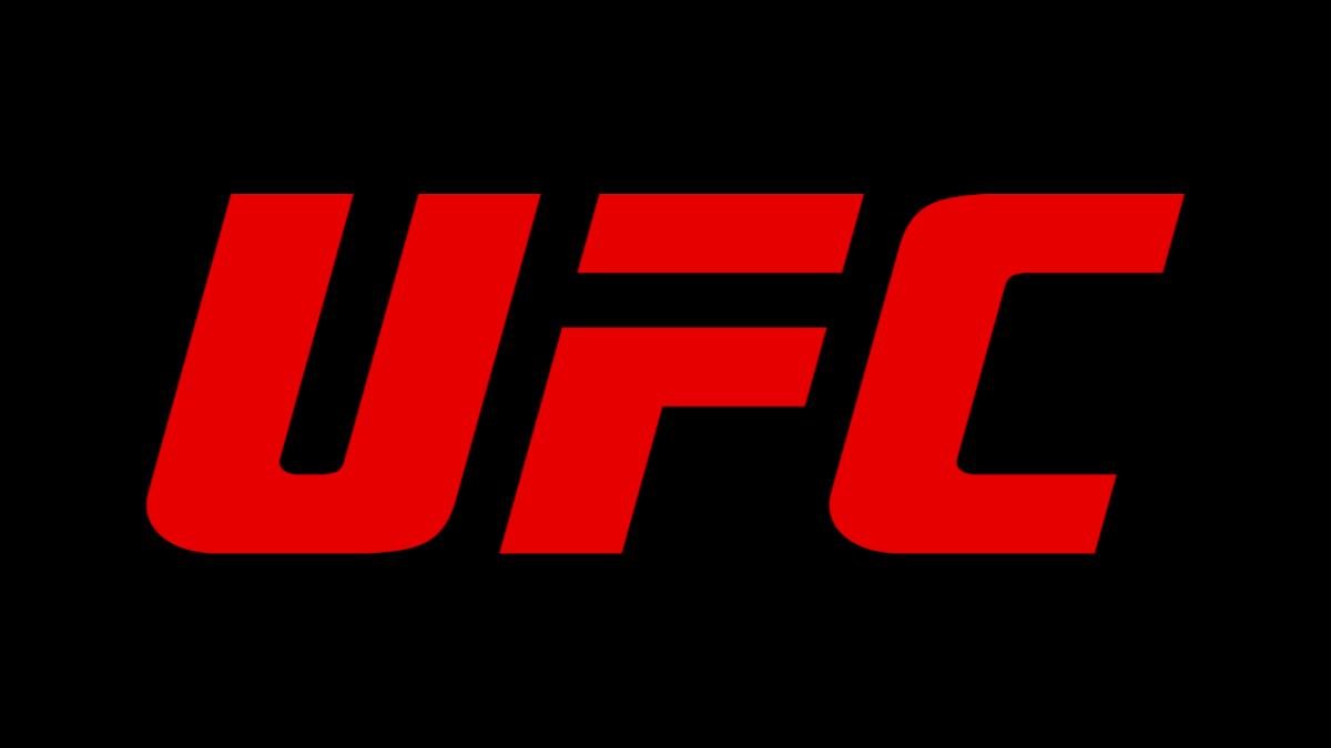 Update On Current UFC Champion Potentially Wrestling For WWE