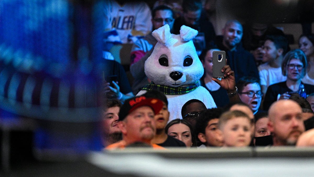 WWE NXT Star Fuels White Rabbit Speculation With Twitter Post