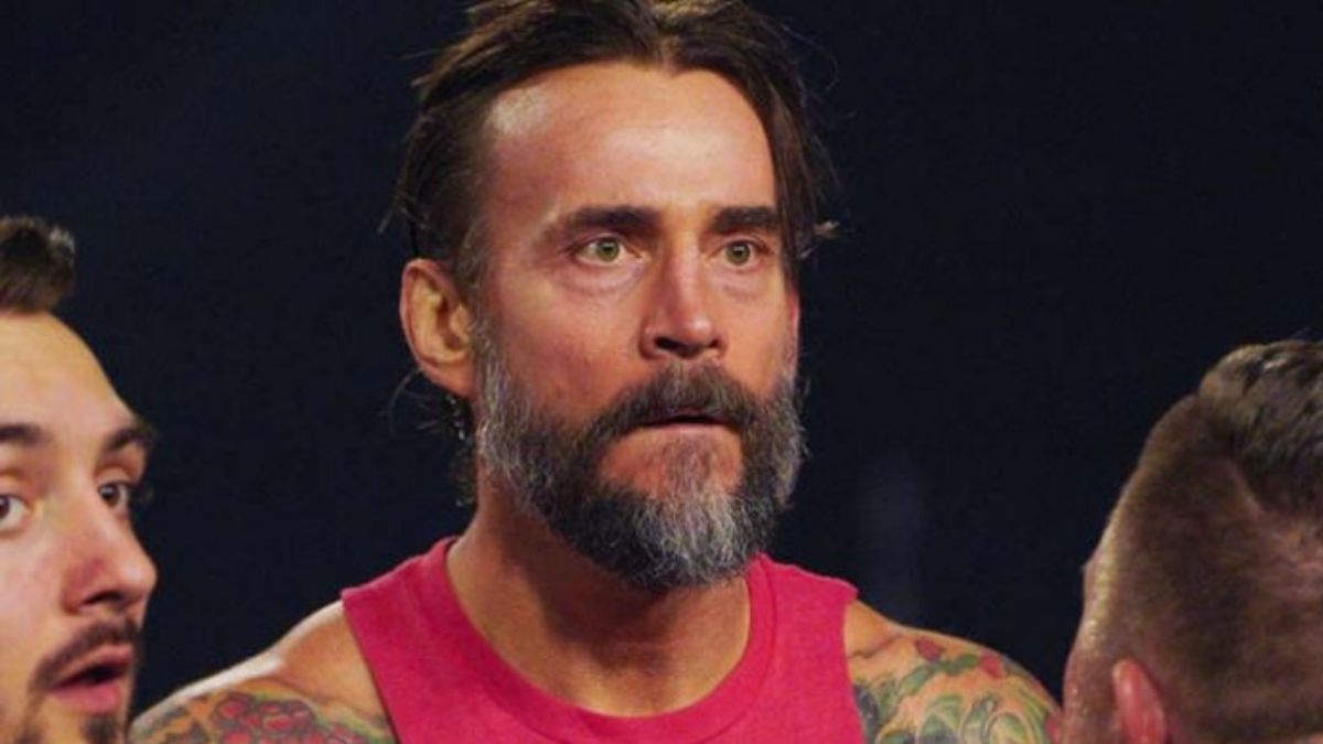 AEW Star’s Wife Says ‘F**k CM Punk’