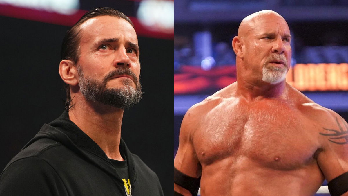 WWE Hall Of Famer Pitches Both CM Punk & Goldberg For AEW All In