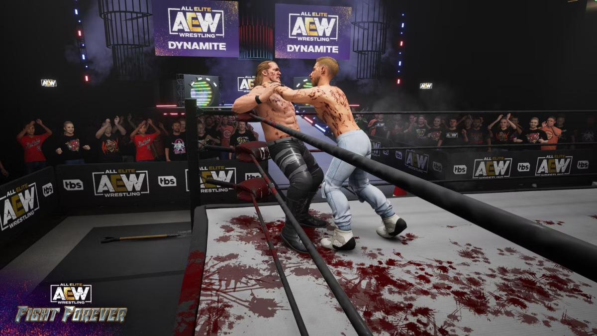 Clarification On Blood In AEW Fight Forever