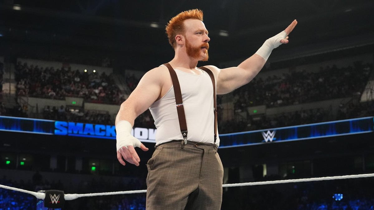 Sheamus Doesn’t Understand Why This WWE Star Isn’t In Money In The Bank Ladder Match