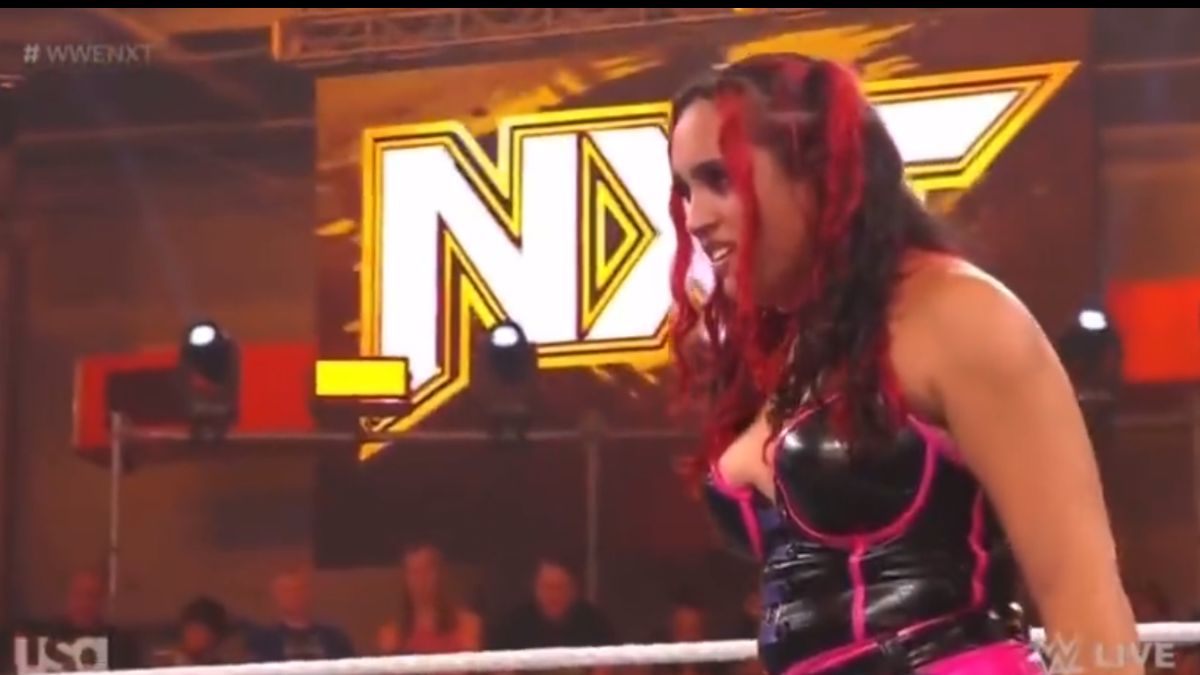 What Happened In The Rock’s Daughter’s WWE TV Debut Match