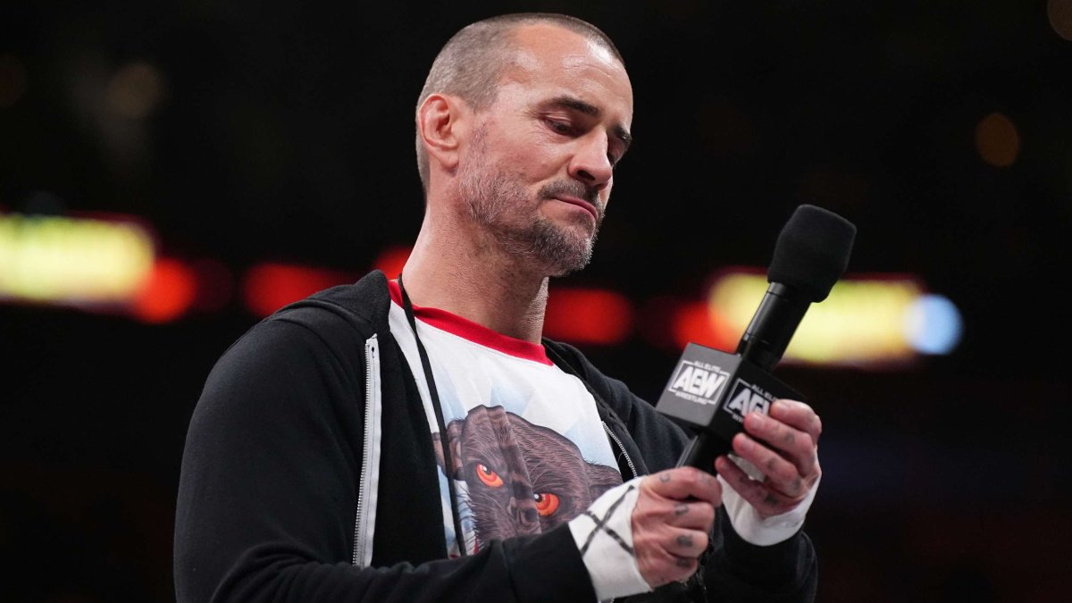 AEW Star Sends Message To CM Punk After Punk Was Fired